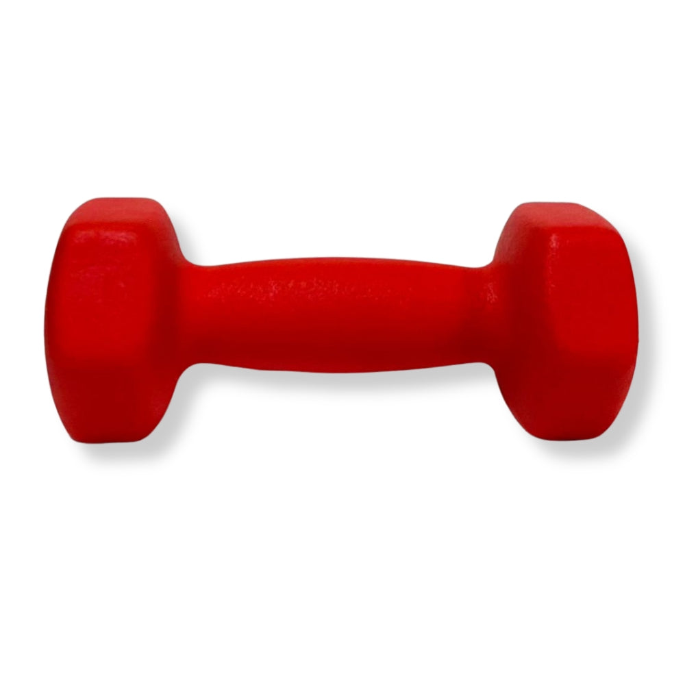 Mancuerna de Goma Hule desde 1kg hasta 10kg 28765