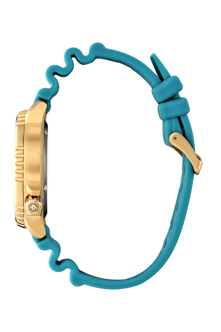 BN0162-02X Reloj Citizen Promaster de hombre correa de resina