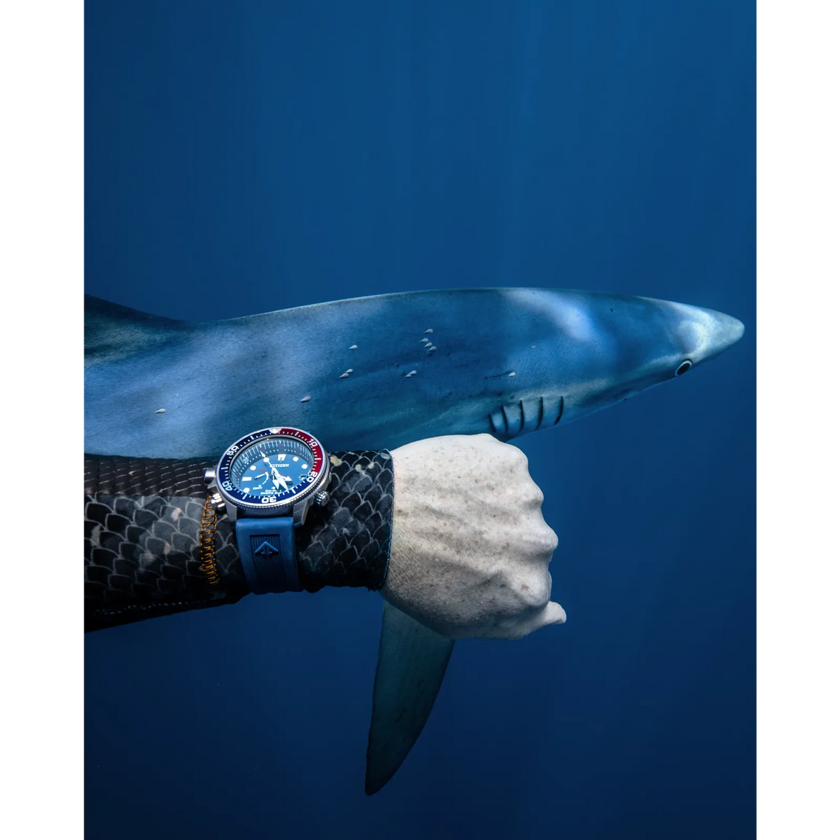 BN2038-01L Reloj Citizen Promaster Aqualand de caballero pulsera de caucho