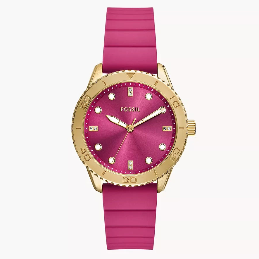 Fossil Dayle Reloj para Señorita