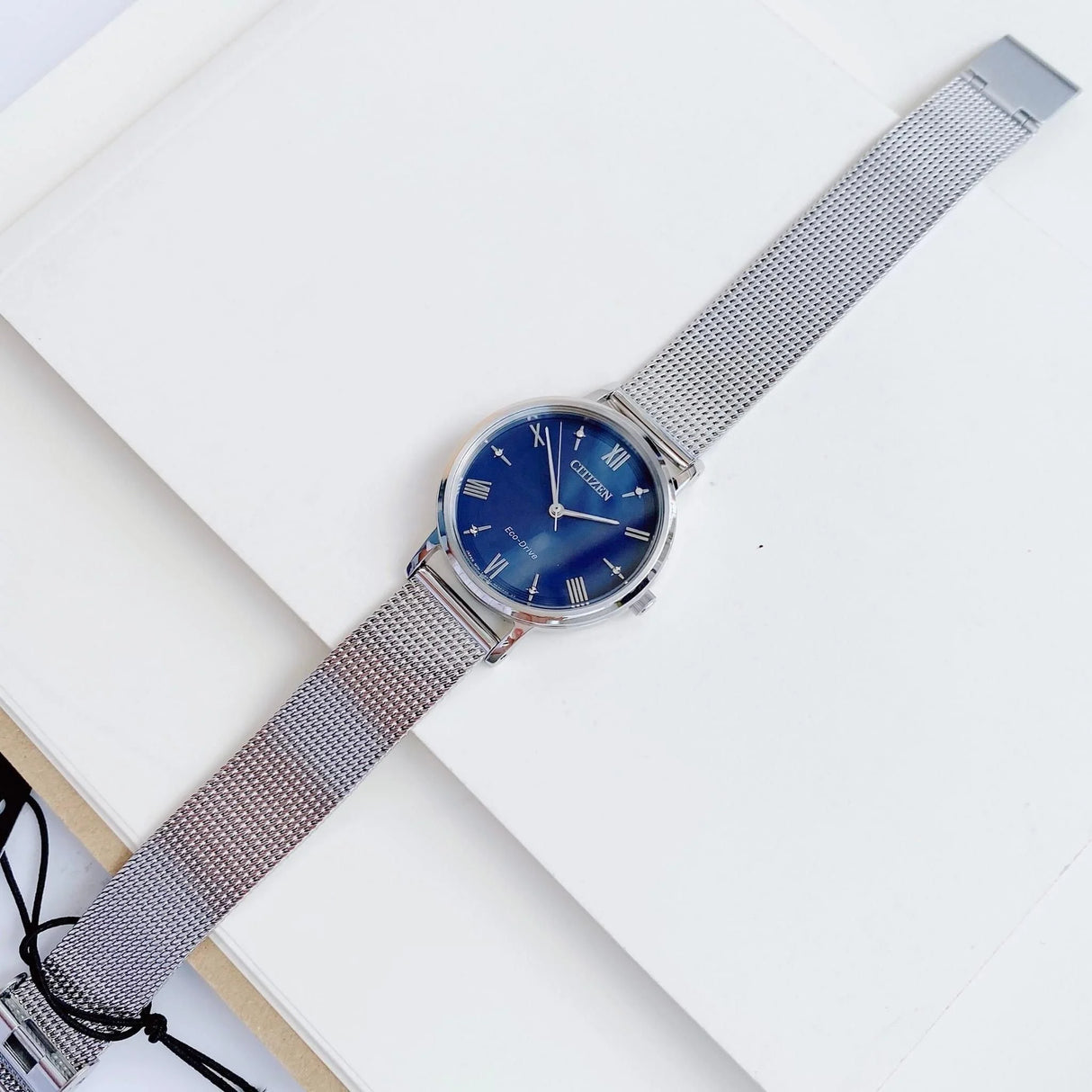 EM0571-59L Reloj Citizen Eco-Drive de mujer pulsera mesh