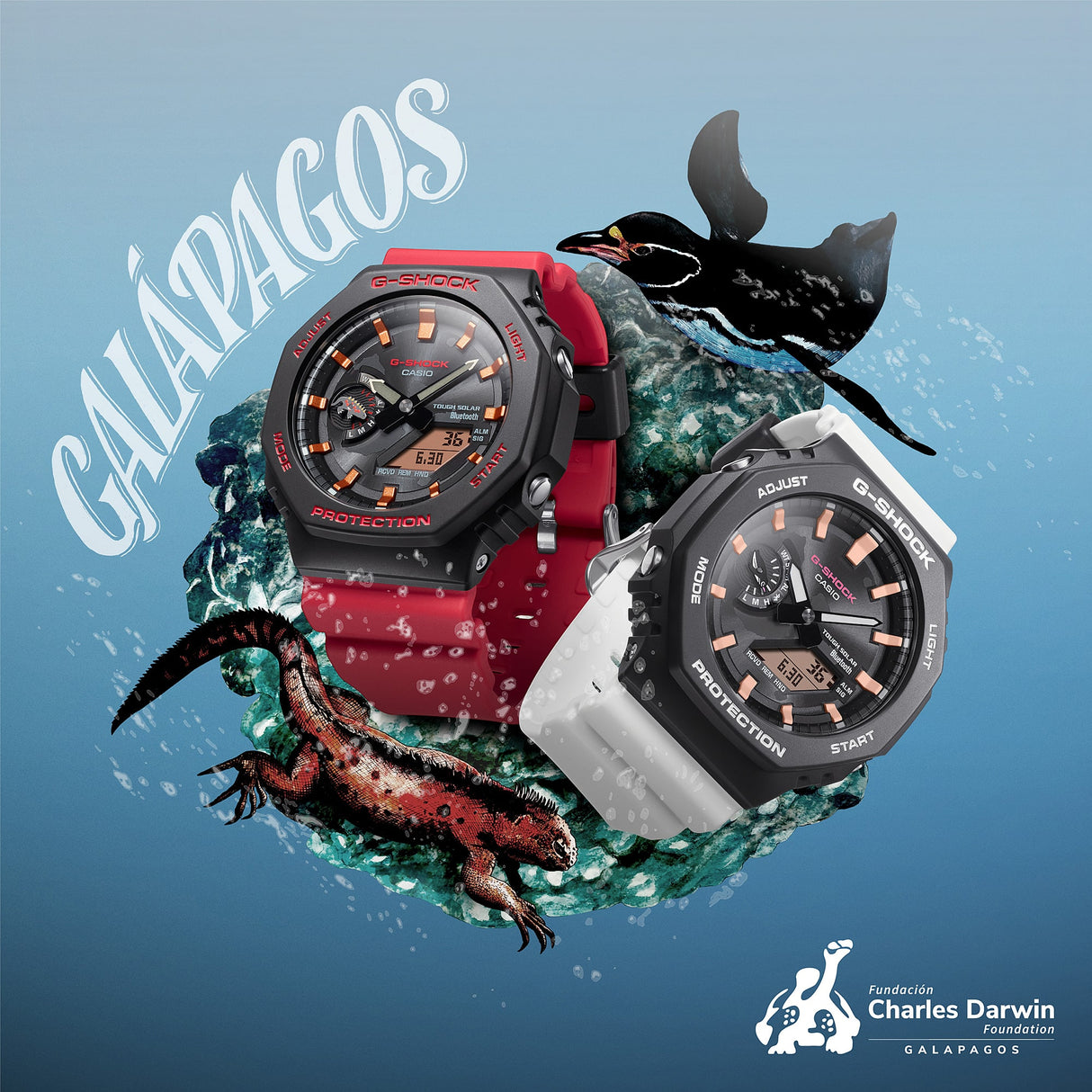 GA-B2100CD-1A4 G-Shock Galápagos Fundación Charles Darwin Reloj de caballero correa de resina doble hora