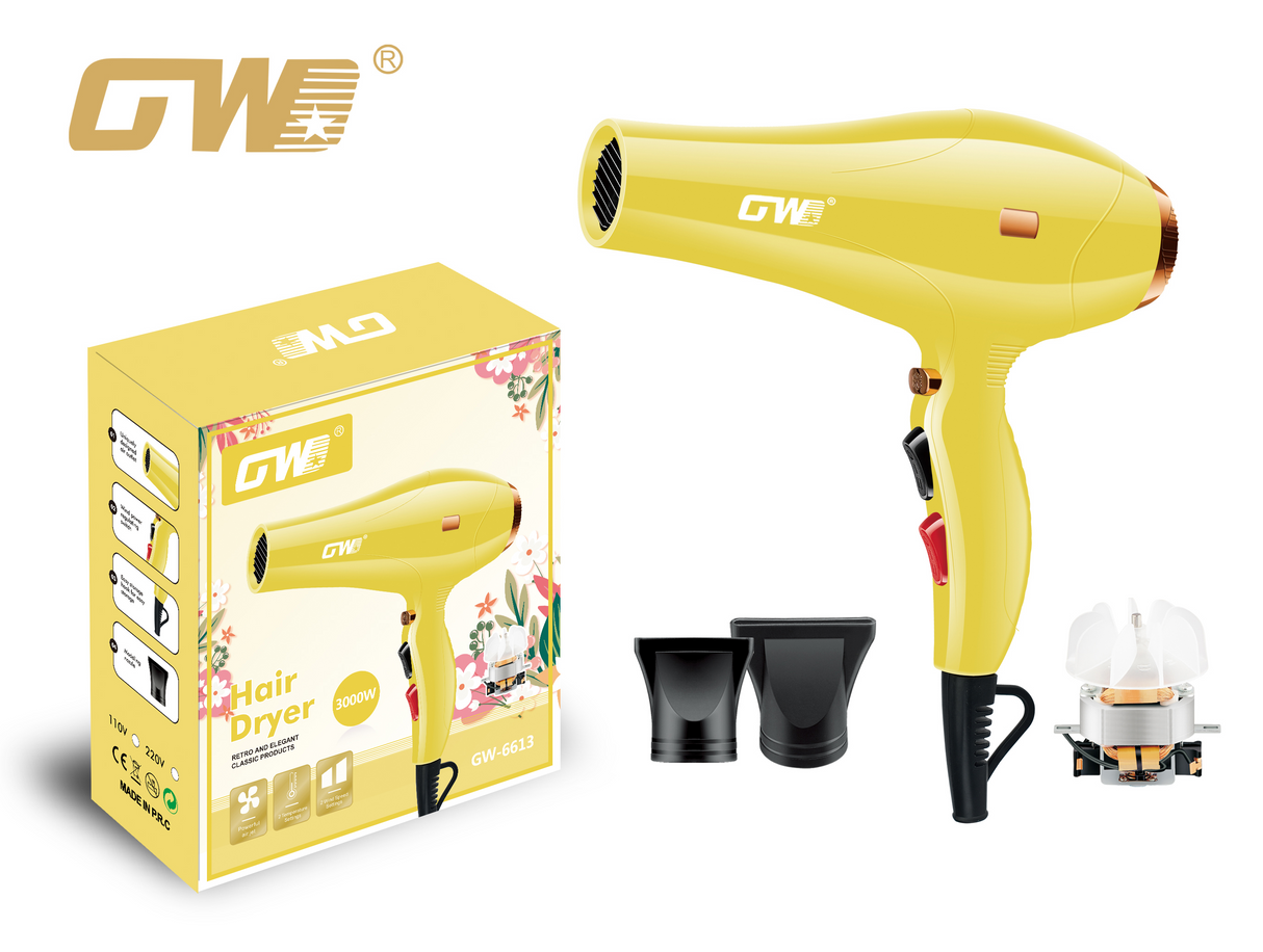 GW-6613 Secador de Pelo GWD