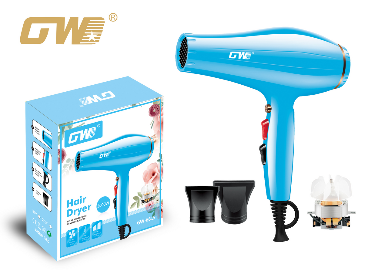 GW-6615 Secadora de pelo GWD