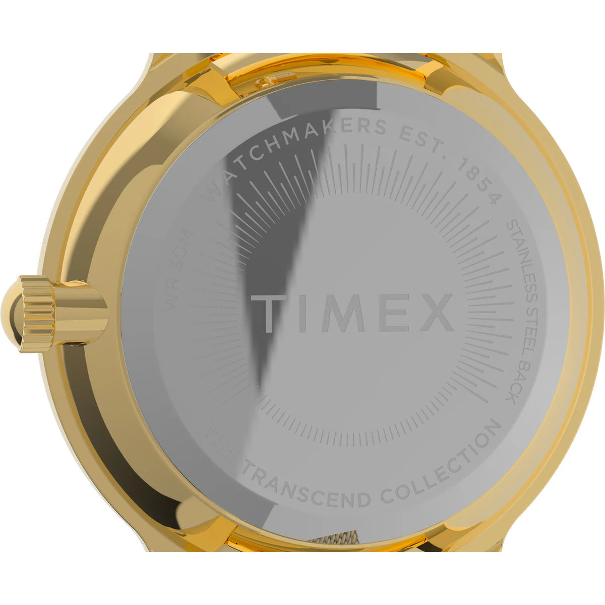 TW2V51900 Timex Transcend Celestial de señorita pulsera mesh 31 mm