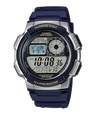AE-1000W-2AV