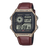 AE-1200WHL-5AV