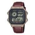 AE-1200WHL-5AV