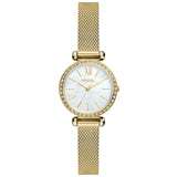Reloj Tillie Mini de dama pulsera mesh 26 mm