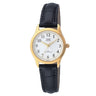 C169J Reloj QQ para mujeres