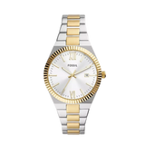 Reloj Fossil Scarlette para mujer pulsera de metal