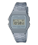 F-91WS-8