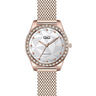 QZ59J Reloj QQ Análogo para Mujer Pulsera Mesh