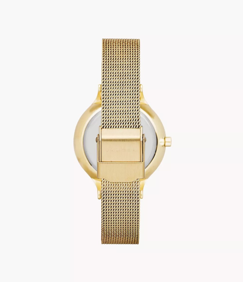 SKW2150 Reloj Skagen para dama pulsera tipo mesh