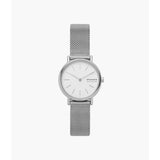 SKW2692 Reloj Skagen para dama pulsera tipo mesh