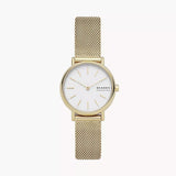 SKW2693 Reloj Skagen para dama pulsera tipo mesh