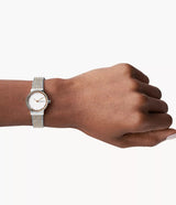 SKW2699 Reloj Skagen para dama pulsera tipo mesh