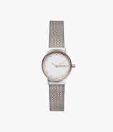 SKW2699 Reloj Skagen para dama pulsera tipo mesh