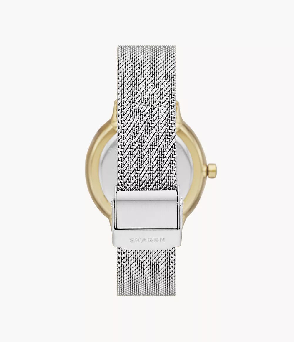 SKW2912 Reloj Skagen para mujer pulsera mesh