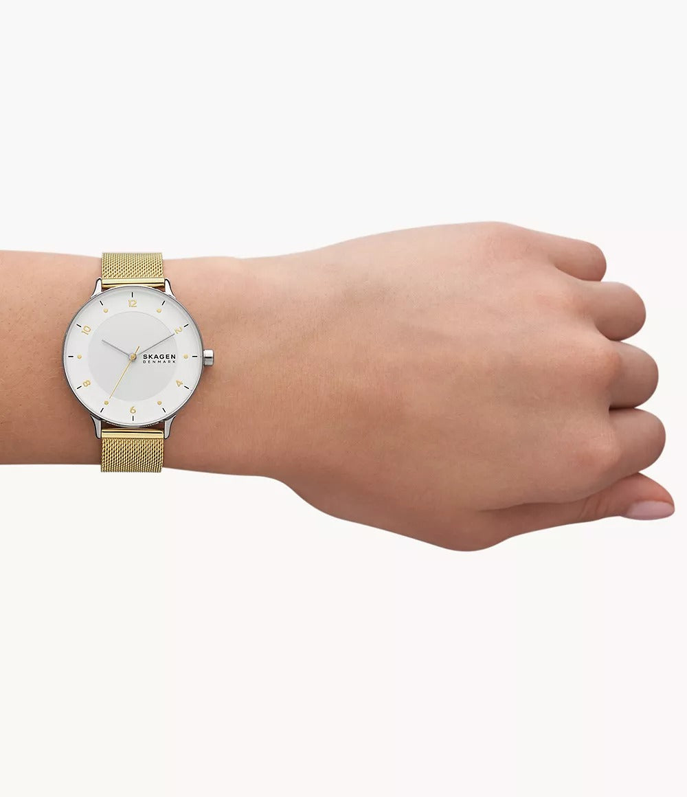 SKW3092 Reloj Skagen para mujer pulsera mesh