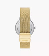 SKW3092 Reloj Skagen para mujer pulsera mesh