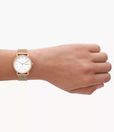 SKW3099 Reloj Skagen para mujer pulsera mesh