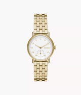 SKW3102 Reloj Skagen para mujer pulsera de metal