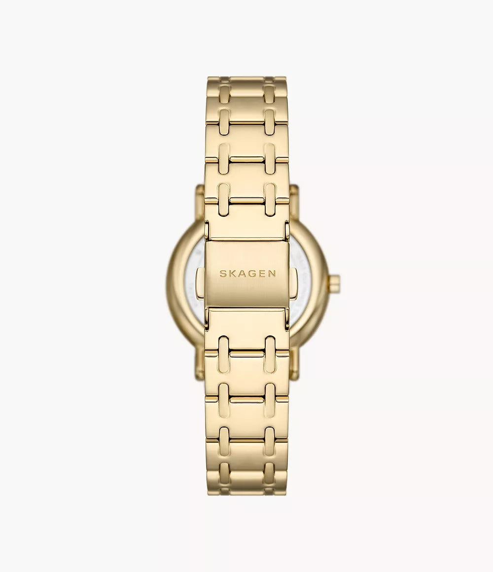 SKW3124 Reloj Skagen para dama pulsera de metal