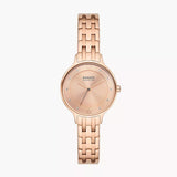 SKW3128 Reloj Skagen para dama pulsera de acero inoxidable