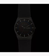 SKW6078 Reloj Skagen para hombre pulsera mesh