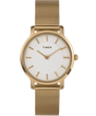 TW2Y10300 reloj Timex