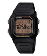 W-800HG-9AV