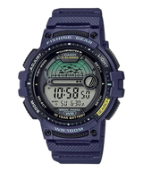 WS-1200H-2AVCF