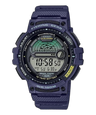 WS-1200H-2AVCF