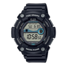 WS-1300H-1AV