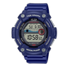 WS-1300H-2AV