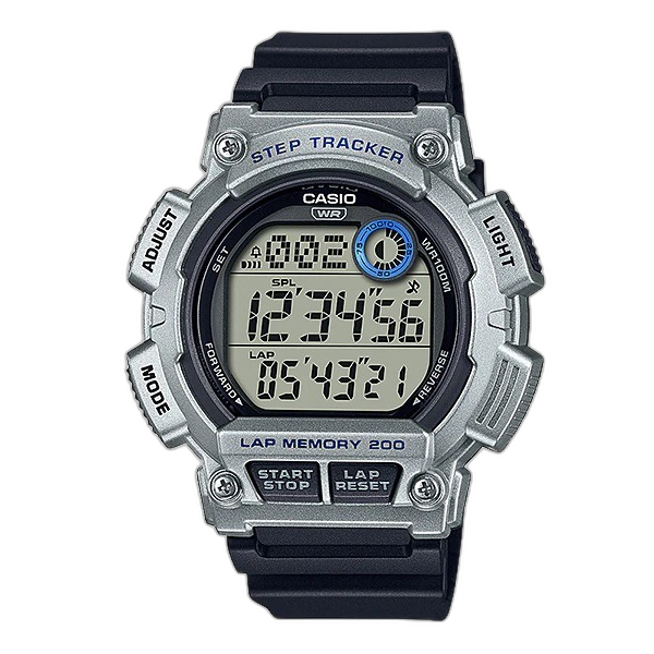 WS-2100H-1A2V