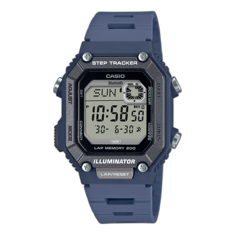 WS-B1000-2AV