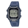 WS-B1000-2AV